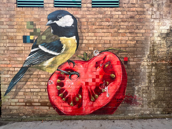 Great Tit and tomato by Aspire