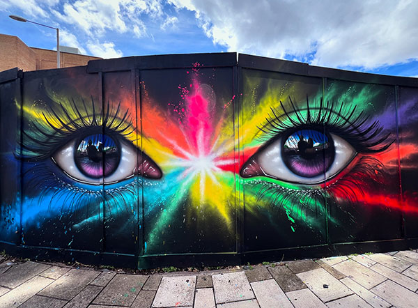 My Dog Sighs eyes in Kingston