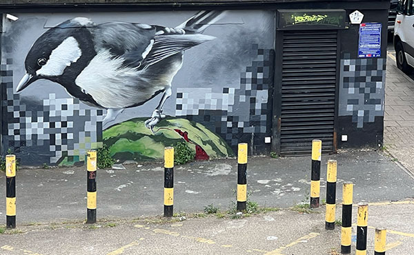 Great Tit by Aspire in Penge