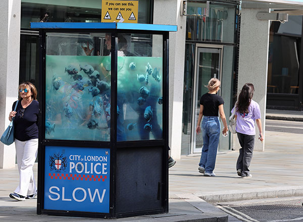 Banksy Piranha fish tank in a City of London Police call box